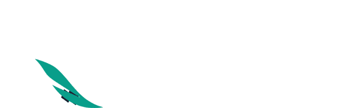 Qaneri